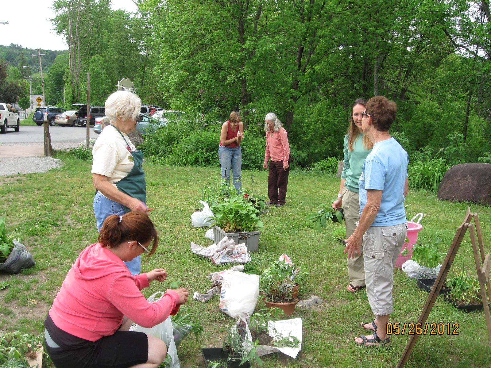 27th Annual Green Thumb Perennial Swap & Pollinator Plant Sale